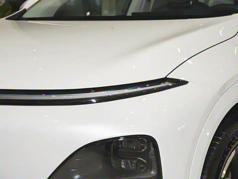 2025�� 625 ������ Max �콢��