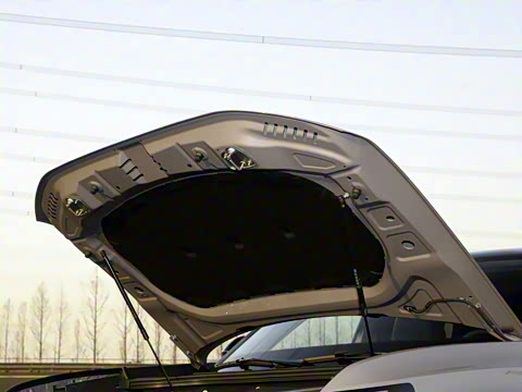 2025�� ;�� Pro 450TSI �����Ƿ��