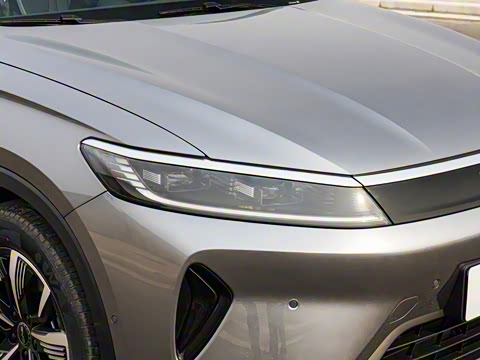 2025�� DM-i �Ǽݰ� 115KM������