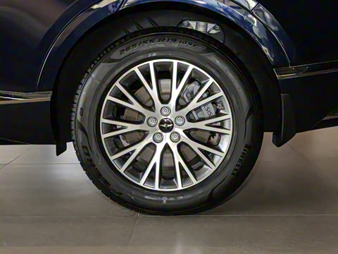 2024�� 2.5T ���������� 5��