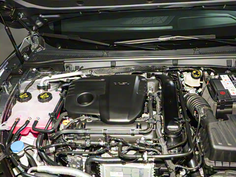 2025�� 1.5T 300 DCT������