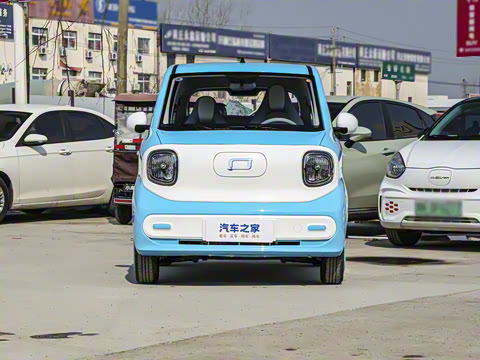 2025�� 222km ��Ϭ��