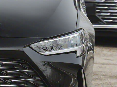 2024�� �Ŀ� 25T ������