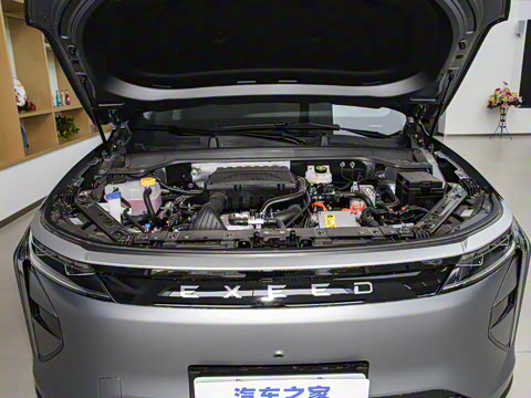 2025�� 100������Plus����