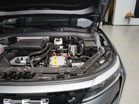 2025�� 100������Plus����