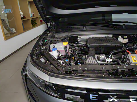 2025�� 100������Plus����