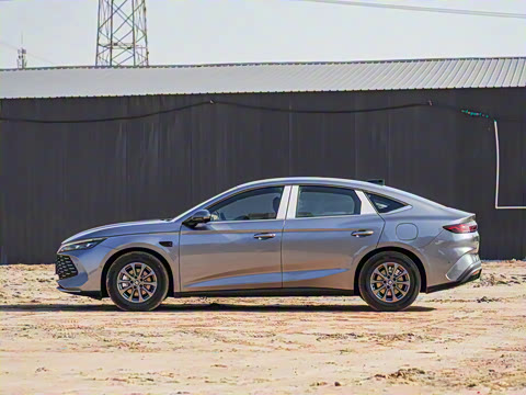 2025�� DM-i �Ǽݰ� 80KM������