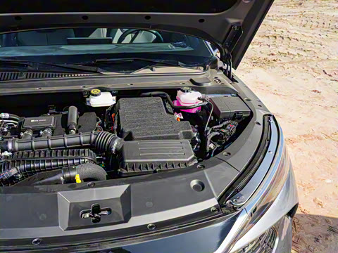 2025�� DM-i �Ǽݰ� 80KM������