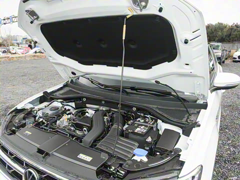 2025�� 300TSI DSG���������