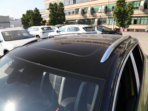 2025�� 300TSI DSG���������