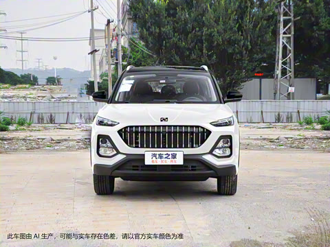 2021�� 300T �ֶ�ȫ�������� 7��