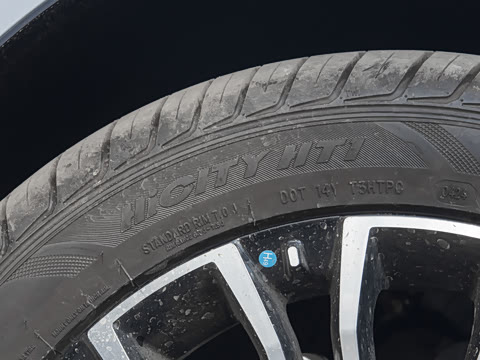 2025�� PHEV ������ 7��