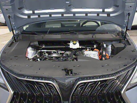 2025�� PHEV ������ 7��