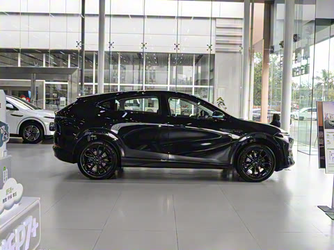 2025�� 625 ������ Max �콢��