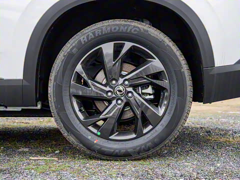 2024�� 530km PRO��Ӣ��