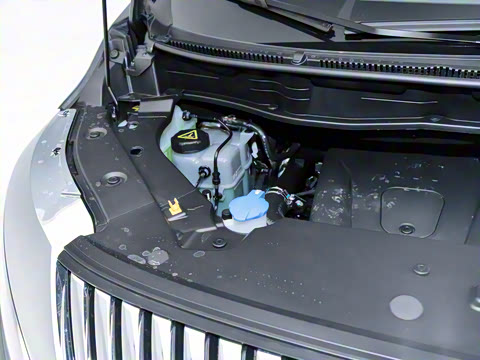 2025�� ������ɽ8