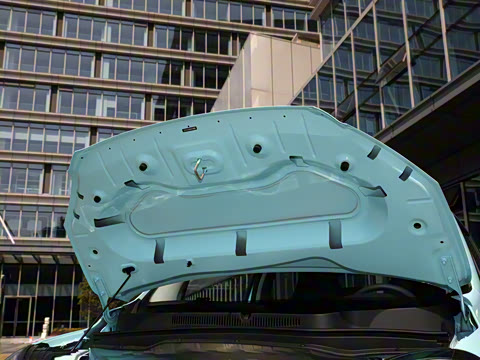 2025�� 310������