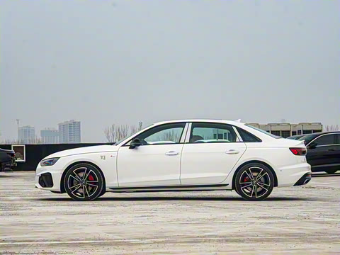 2025�� 200���������� 45 TFSI quattro ��ѡ������