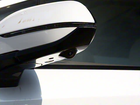 2025�� DM-i 1.5T 100km ������