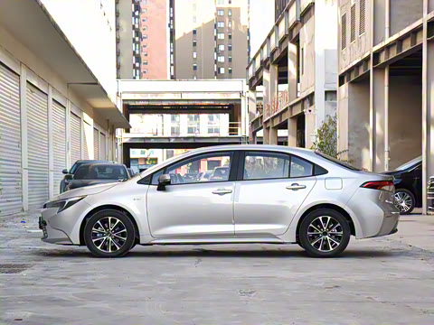 2024�� ���ܵ��˫�� 1.8L ������