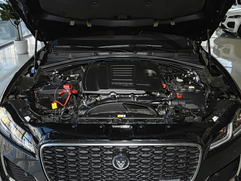 2025�� P250 R-Dynamic S