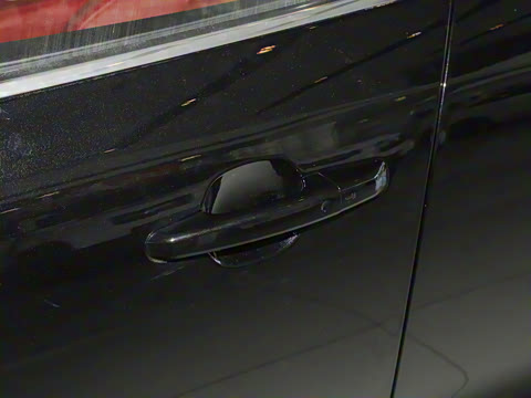 2025�� P250 R-Dynamic S