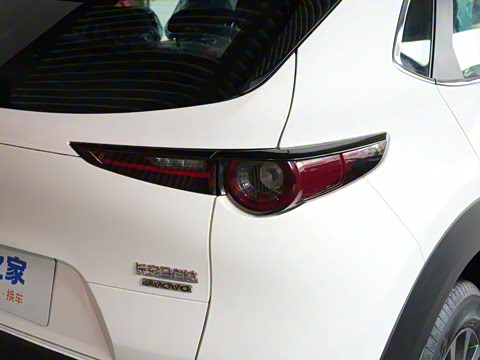 2024�� 2.0L �ֶ�������