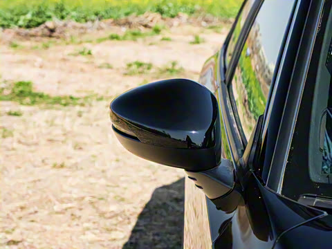 2025�� 240TURBO CVT ��ȤPro