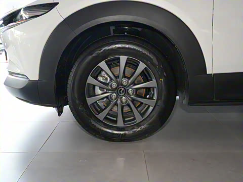 2024�� 2.0L �ֶ�������