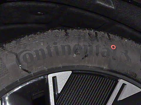 2024�� Max���������