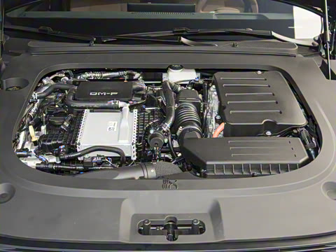 2025�� DM-p ���������״��콢��