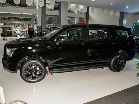 2025�� 2.0T�Զ�������Ӣ�� ����