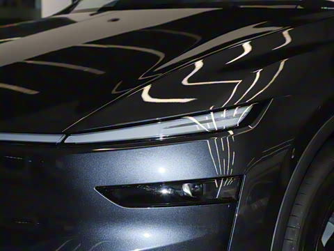 2025�� �������� �׷���