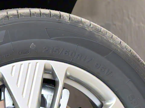 2025�� 565km ������