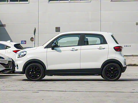 2025�� 310������