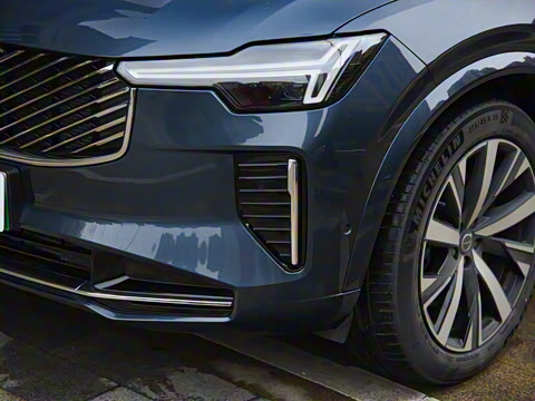 2025�� �Ŀ� T8 ��������� 7��