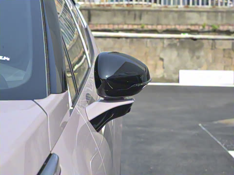 2025�� 530km ����Pro