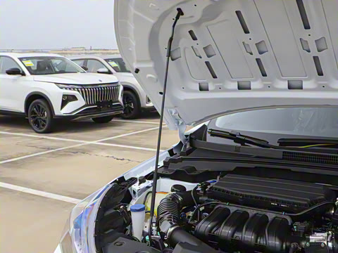 2025�� 1.5L �Զ�������