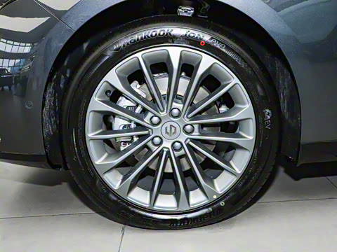 2024�� ���� 216������