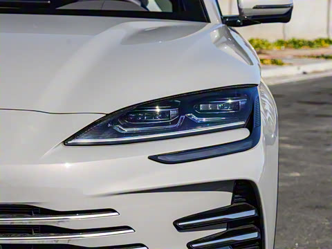 2025�� DM-i �Ǽݰ� 112KM ������