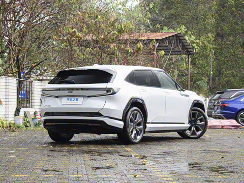 2025�� ����������Max