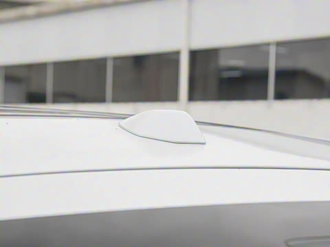 2025�� ����������Max