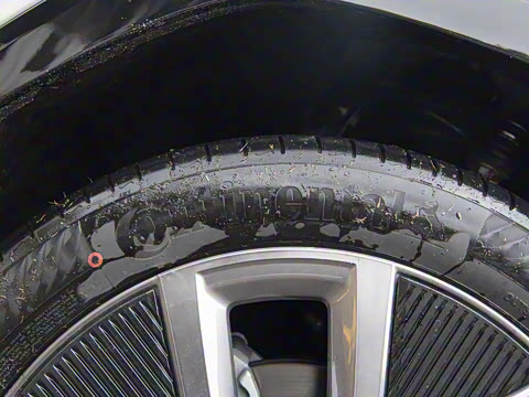 2025�� ����������Max