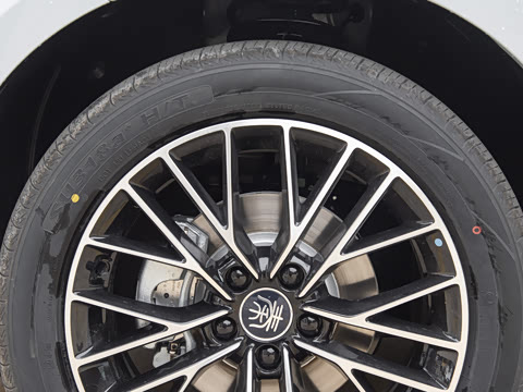 2025�� DM-i �Ǽݰ� 120KM׿Խ��