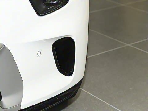 2024�� ������������ ������