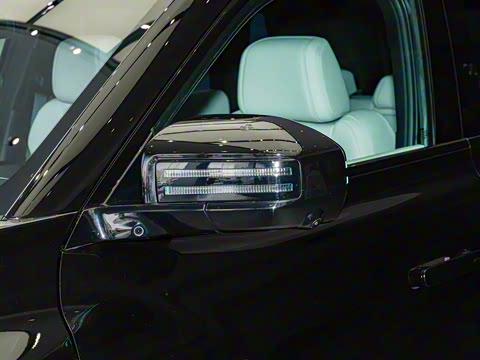 2025�� 501KM ����Max��