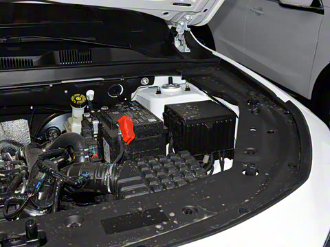 2025�� �ھ��� 1.5T �ֶ��ھ� 5��