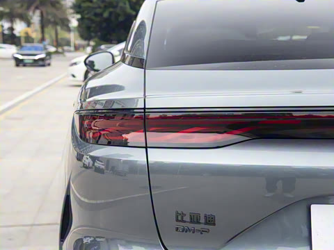 2025�� DM-p ���������״��콢��