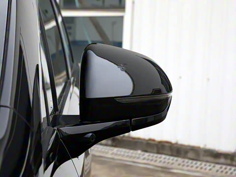 2025�� DM-i 1.5T 100km ��Խ��