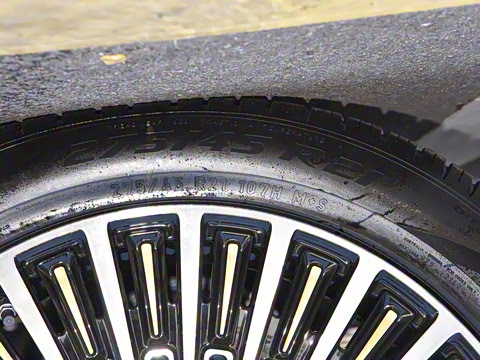 2025�� ������